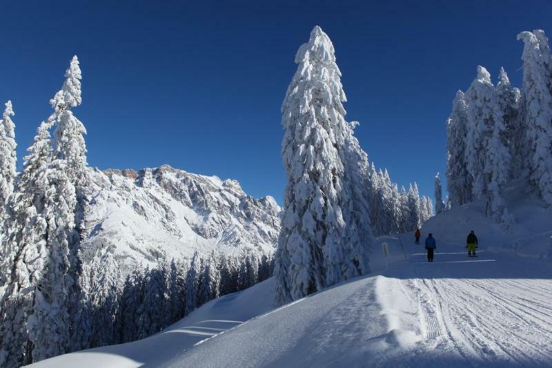 Apartament Am Berg 34 Maria Alm am Steinernen Meer Zewnętrze zdjęcie